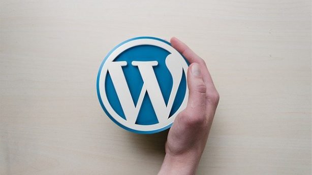WordPress Webseiten im Business