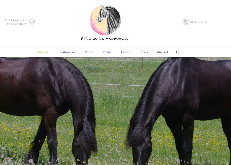 Pferdehof Webseiten Gestaltung