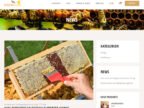 Onlineshop Erstellung Honig